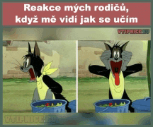 a cartoon of tom and jerry with a caption that says reakce mych rodicu