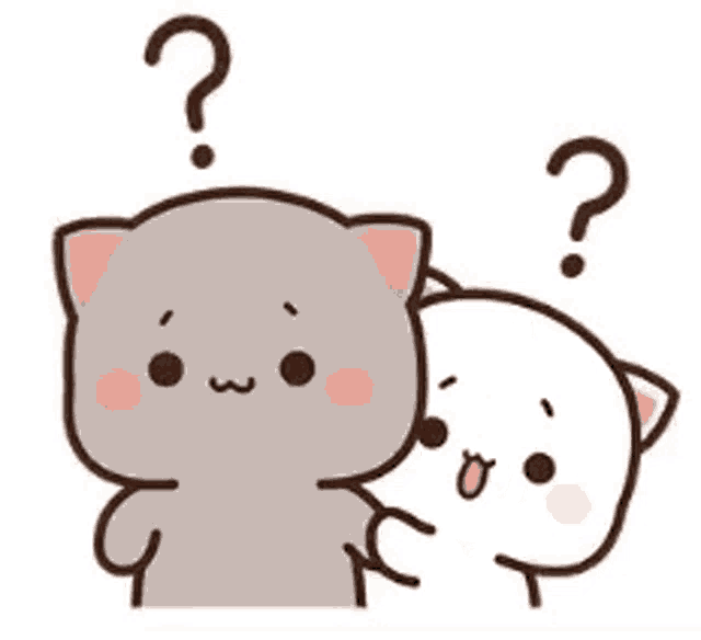 a couple of cats are standing next to each other with a question mark on their heads .