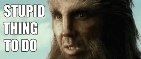 Stupid Stupid Thing To Do GIF - Stupid Stupid Thing To Do Beorn GIFs