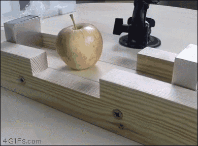 an apple is sitting on a wooden block with a 4gifs.com watermark
