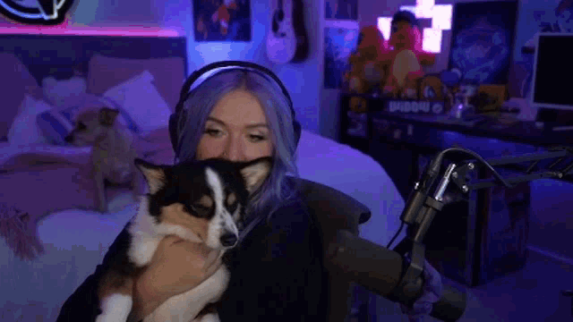 a woman with purple hair is holding a dog in front of a microphone in a bedroom .
