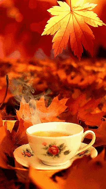 a cup of tea sits on a saucer in front of a pile of leaves