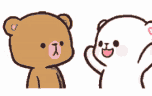 two teddy bears , one brown and one white , are standing next to each other on a white background .