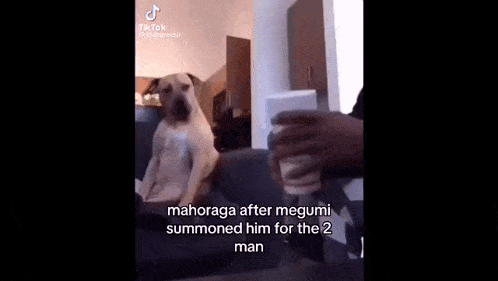 a dog is sitting on a couch with a cup of coffee .