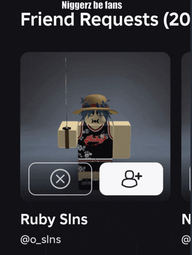 a screenshot of a video game that says " niggerz be fans friend requests "