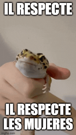 a leopard gecko is being held in someone 's hand with the caption " il respecte il respecte les mujeres " .