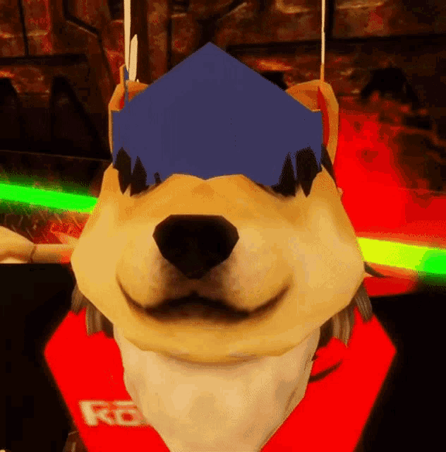 a dog wearing a blue hat and a red shirt with rb on it