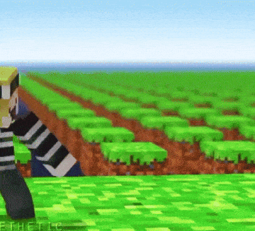 a person in a striped shirt is standing in a field in a minecraft video game