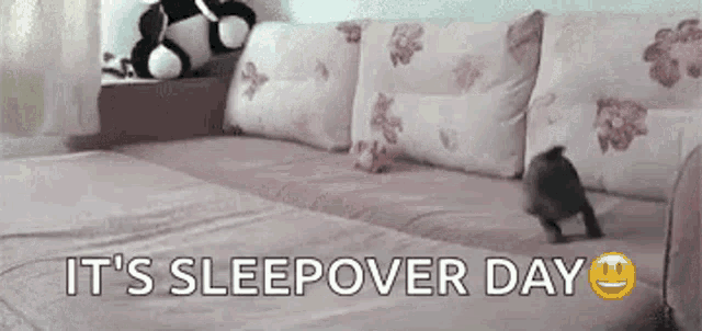 a small dog is walking on a couch with the words `` it 's sleepover day '' .