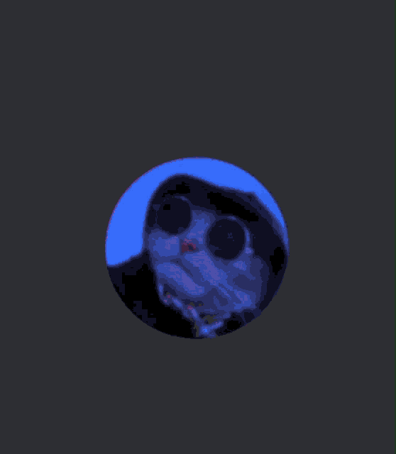 a purple circle with a cat in it