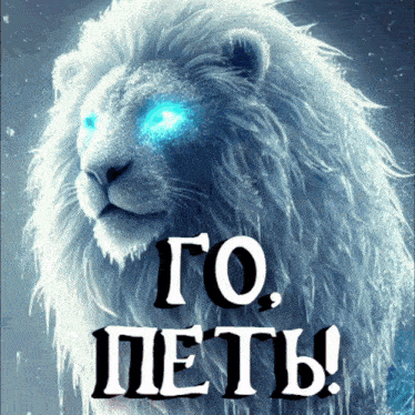 a picture of a lion with blue eyes and the words go pets