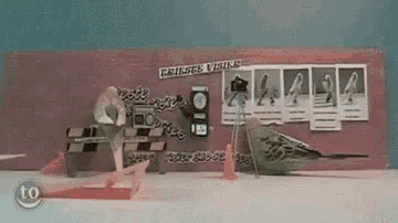 two birds are standing in front of a sign that says ' gruisee vises '