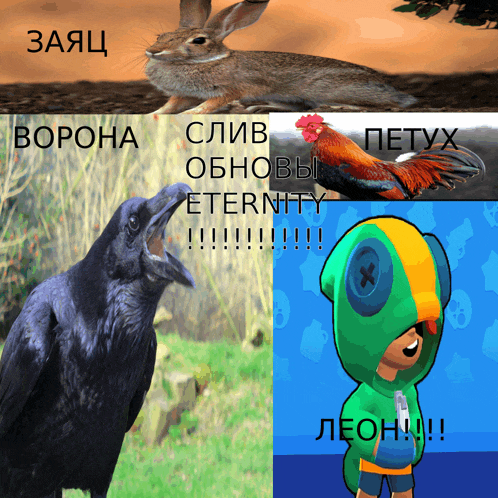 a picture of a crow a rabbit a rooster and a boy with the word leon in the middle