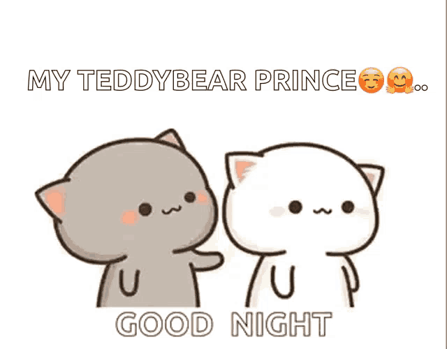 a couple of cartoon cats standing next to each other with the words " my teddybear prince " written on the bottom