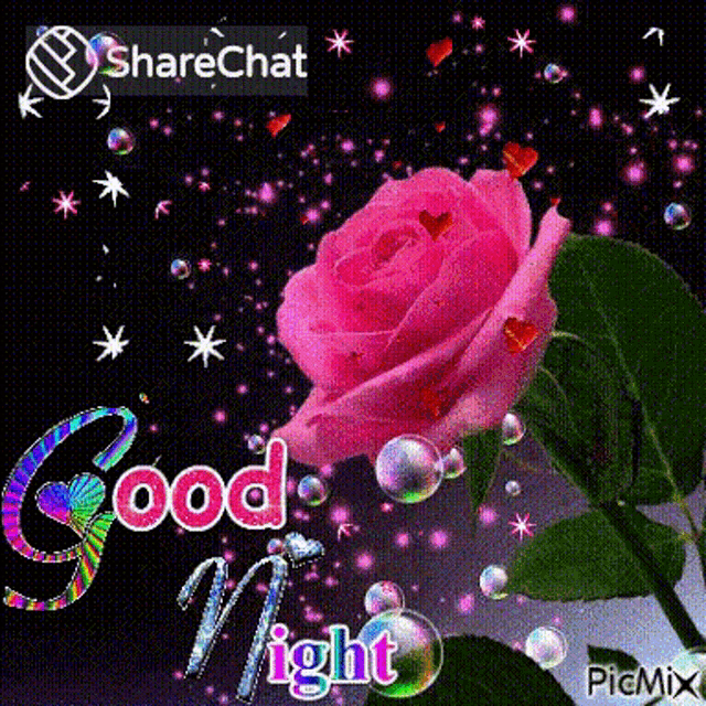 a pink rose with bubbles and the words good night