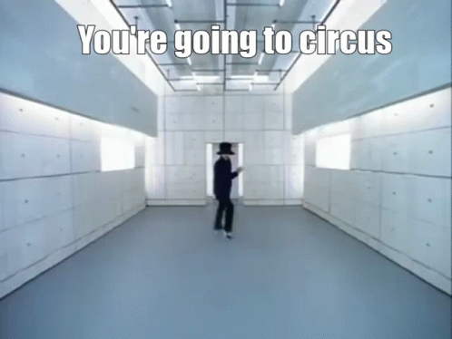 Circus GIF - Circus GIFs