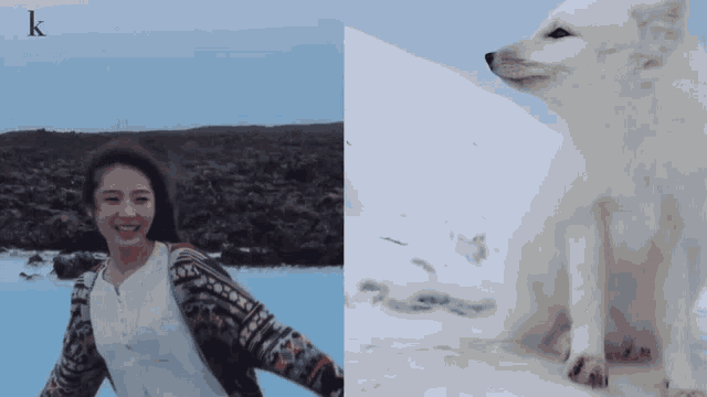 a picture of a woman and a picture of a white dog with the letter k on the bottom