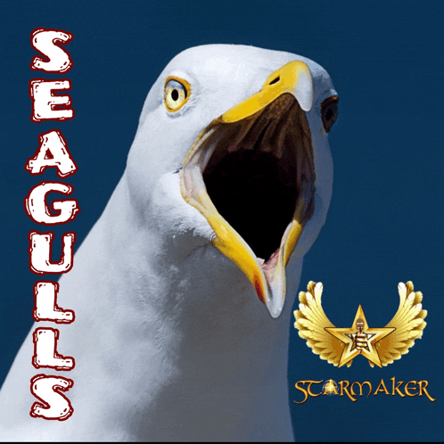 a seagull with its mouth open and the words seagulls written above it