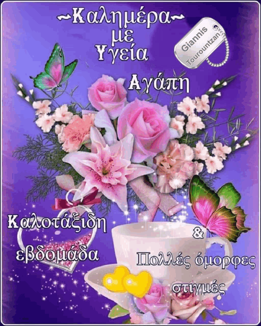 a purple background with pink flowers and butterflies and the name giannis touroutzan on it