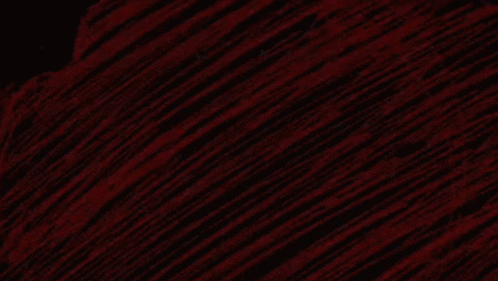 a dark red background with a heart in the middle