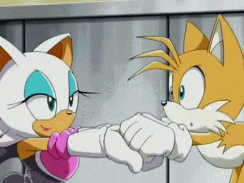 Sonic X Rouge The Bat GIF - Sonic X Rouge The Bat Tails GIFs