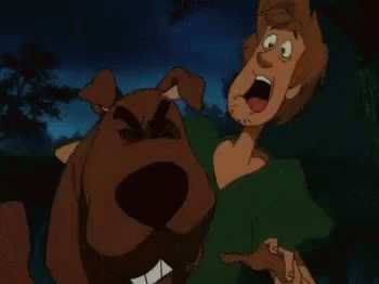 Zoinks Scooby Doo GIF - Zoinks Scooby Doo Shaggy GIFs