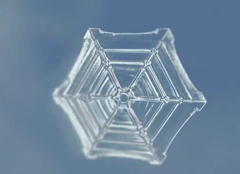 Water Crystallizing Into Snow GIF - Water Crystallizing Into Snow Snow Flake GIFs