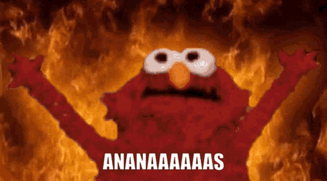 elmo from sesame street is standing in front of flames with the words ananasaaas written on the bottom