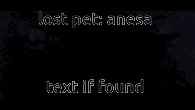 Anesa Lost GIF - Anesa Lost Genshin GIFs
