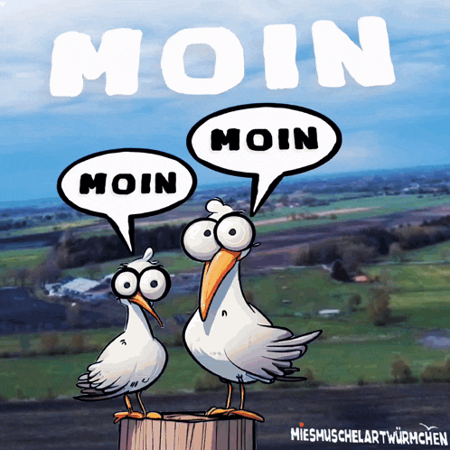 a cartoon of two seagulls with speech bubbles that say " moin "