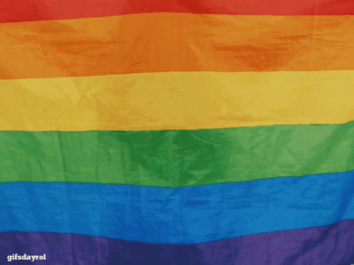 Day Limns Day GIF - Day Limns Day Bandeira Lgbt GIFs