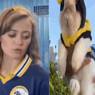 a woman in a cheerleading uniform is standing next to a dog wearing a yellow hoodie .