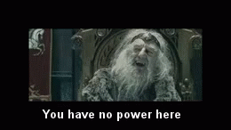 Gandalf You Have No Power Here GIF - Gandalf You Have No Power Here Lord Of The Rings GIFs
