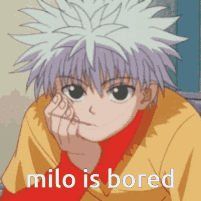 Milo Killua GIF - Milo Killua Hxh GIFs