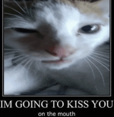 a poster of a cat with the words im going to kiss you on the mouth