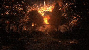 a silhouette of a person walking in a field with trees on fire in the background