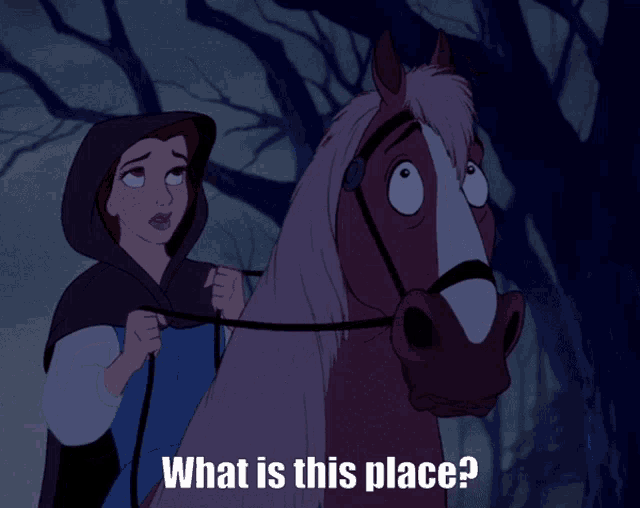 a cartoon of a woman riding a horse with the words " what is this place " below her