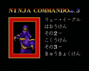 a screenshot of a video game that says ninja on it