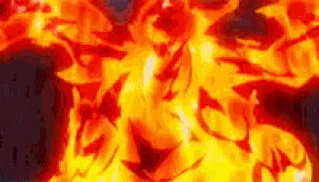 a close up of a fire with a lot of flames on a black background .