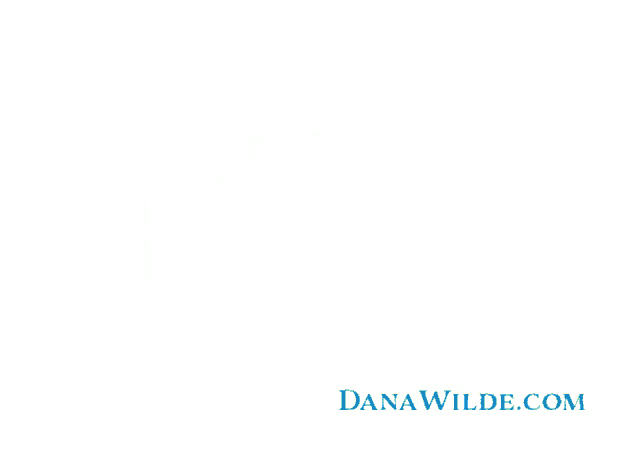 a logo for dan wilde.com has a blue letter o in the middle