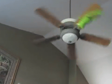 Kermit Get Down From There! GIF - Spinning Repetition Cute GIFs