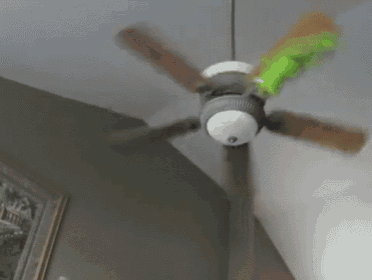 a ceiling fan is spinning in a room with a green bag on it