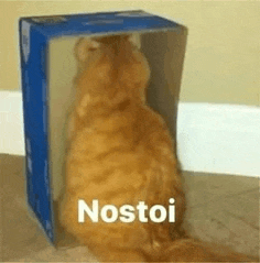 a cat is sitting in a box with the word nostoi written on it .