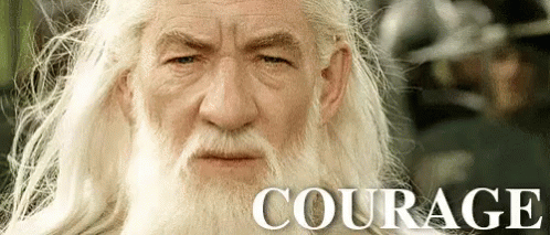 Lord Of The Rings GIF - Lotr Courage Gandalf GIFs