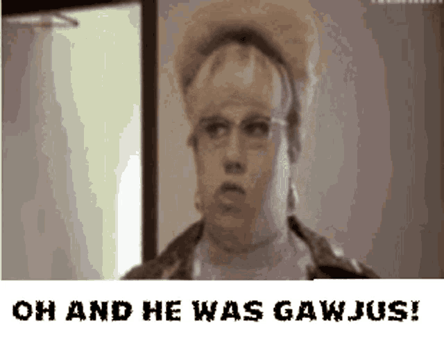 a pixelated image of a woman with the words oh and he was gawjus