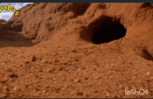 a video of a meerkat coming out of a hole with bbc on the bottom