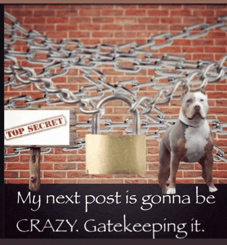 a dog standing in front of a brick wall with chains and a sign that says top secret