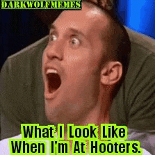 Darkwolfmemestm Meme