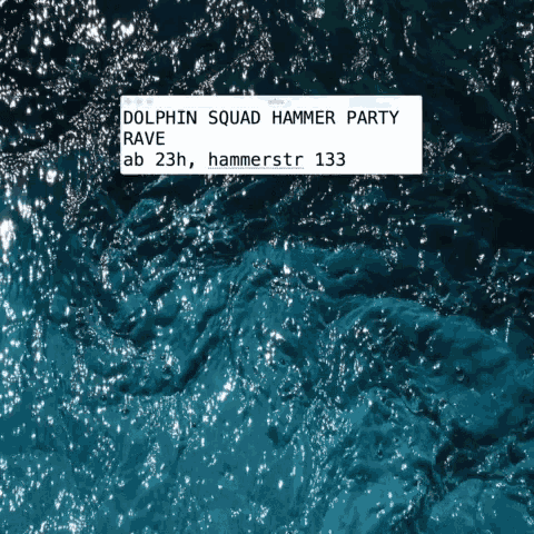 Hammer Dolphin Squad GIF