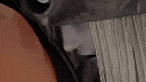 a close up of a person 's face and hair being cut